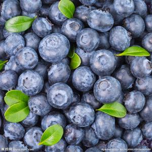 蓝莓／盒