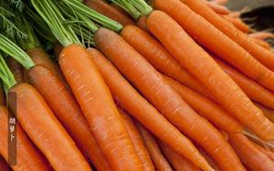 胡萝卜