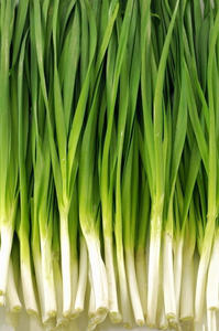 韭菜